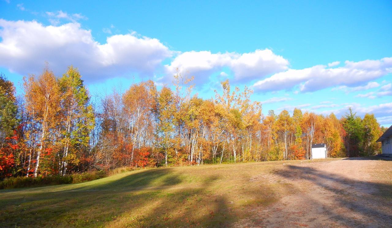 Shores Of Deer Lake South River Exterior foto