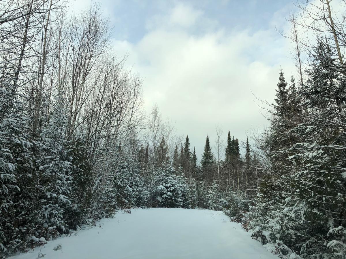 Shores Of Deer Lake South River Exterior foto